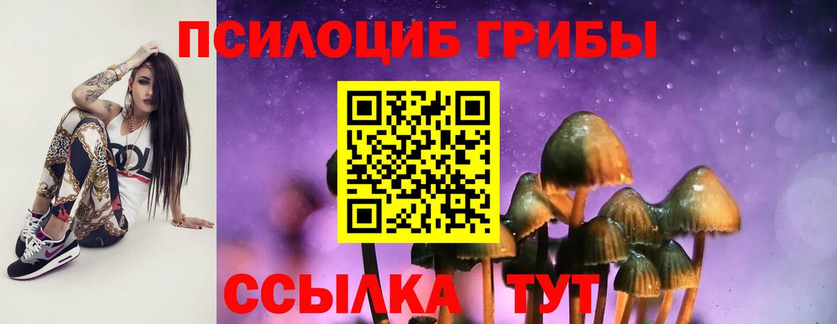 Галлюциногенные грибы GOLDEN TEACHER  Вход с VPN  закладки  Новодвинск  Псилоцибиновые грибы Psilocybe 