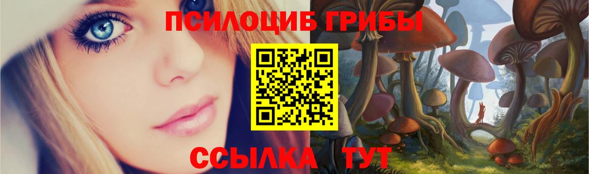Галлюциногенные грибы мухоморы Новодвинск